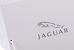 Jaguar Display Case